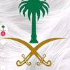 user9147506775391