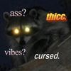 auroras.curse