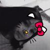 yan.yanxo
