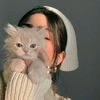 kittyvibes
