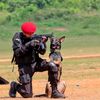 tharindudilshan5579