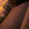1amnajb