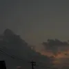 mn