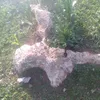user1358054512817
