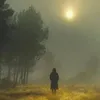 xayali_baran