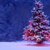 waitingchristmas0