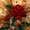 md.jamiul.islam574