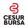 cesurbursa