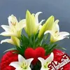 mounir.khallafi8