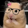 polinadjaoo
