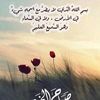 mohamed.saad6426