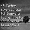 xavier.dedjouei