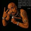 hip.hop3703