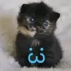 hihichan33