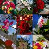 mohammadabukalam2678