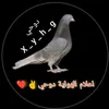 user878366353781