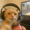 whos.gu1lhe3me