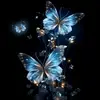 chaima.rkr