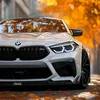 .bmw60221