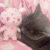 emilucutie