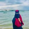 ameikanprobasitanisa622