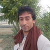 user86913453408195