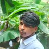 user2446946696842