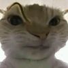 mimimomo56787