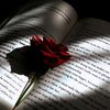 ❤️εlεձ২ձг❥¹⁸ツ😍