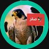 saqar.65