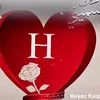 .h16091