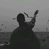 Poetry Hunter