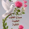 amitabdoulayeibra