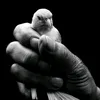 user5483017567861