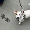 专磕