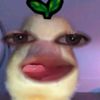 evelyn_vb123