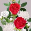 user90623485698008