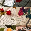 user1097205266213