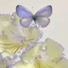 lalyd16