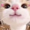 mutchie30