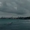 surfista1user