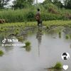 user003316229