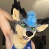 Wander Deer