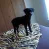 remy03467