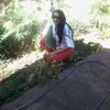 jfrancisca.cardos