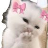whos_lily994