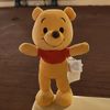 parkinwithpooh