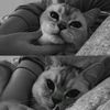 __itss.youu