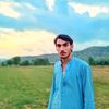 zeenat.khan175