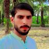 gulab.mari